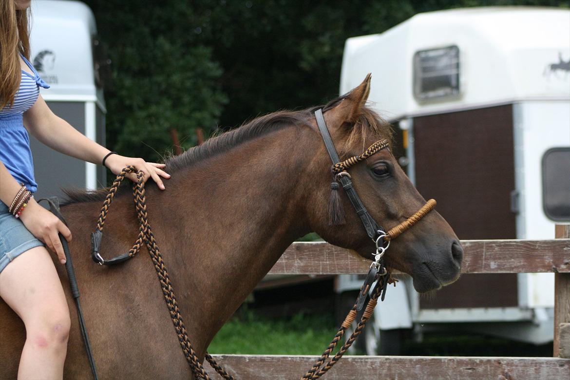 Pyt i Paradis  billede 27