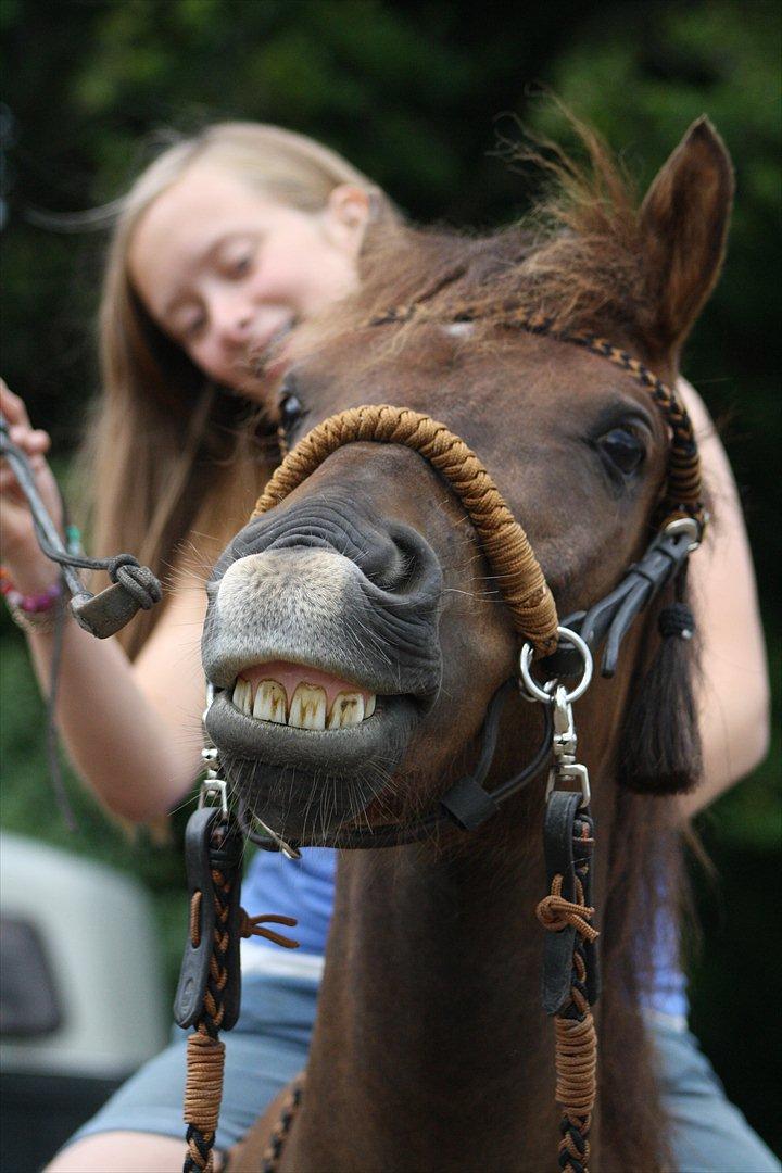 Pyt i Paradis  billede 28