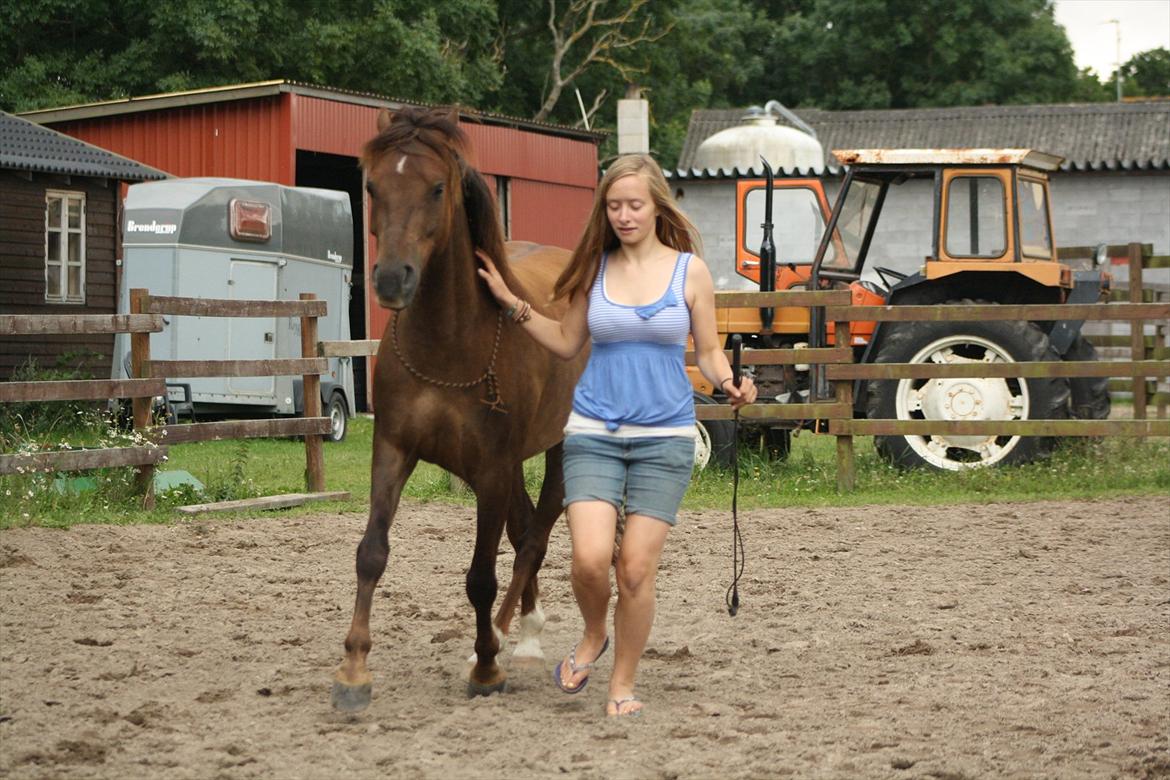 Pyt i Paradis  billede 29