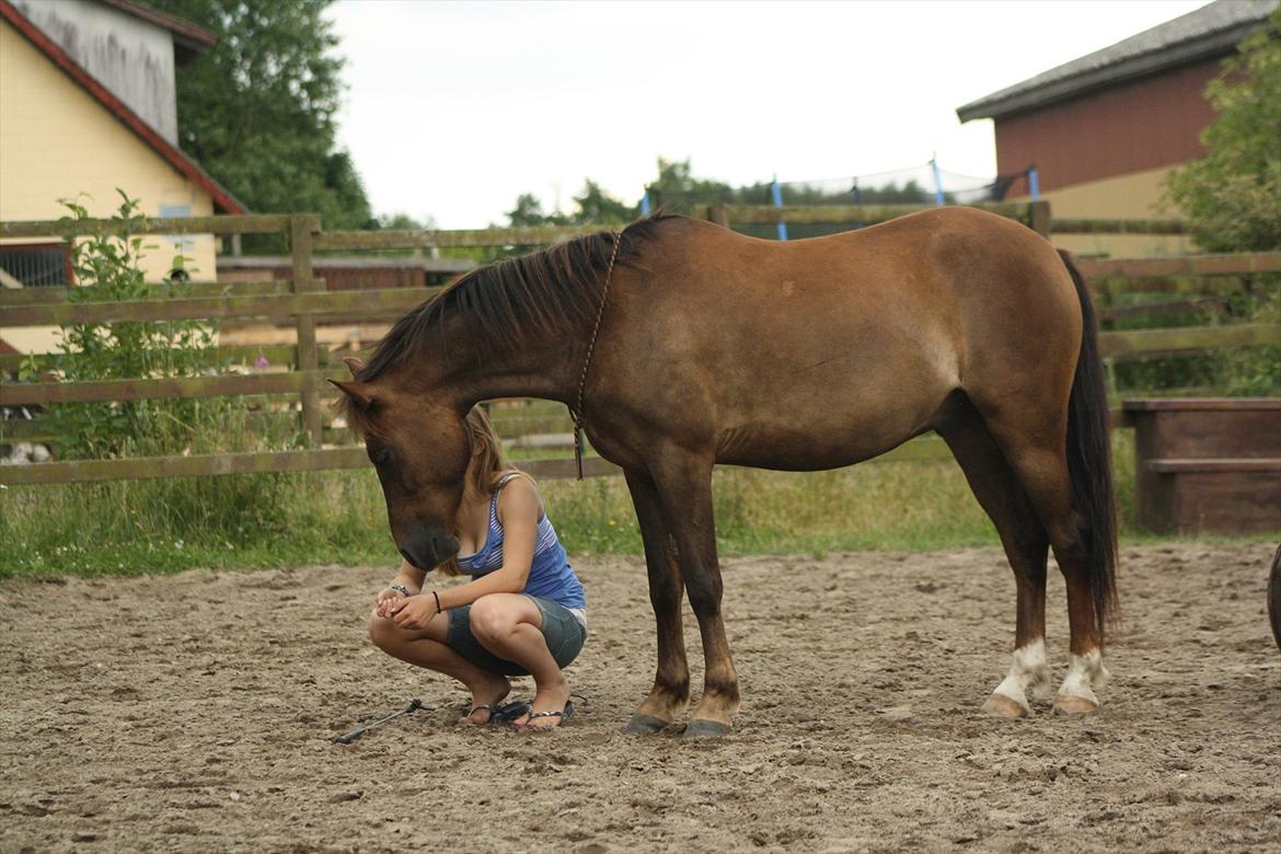 Pyt i Paradis  billede 32