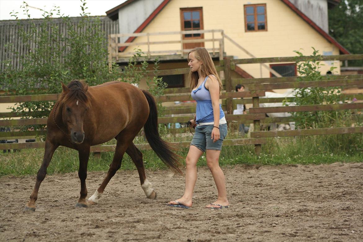 Pyt i Paradis  billede 34