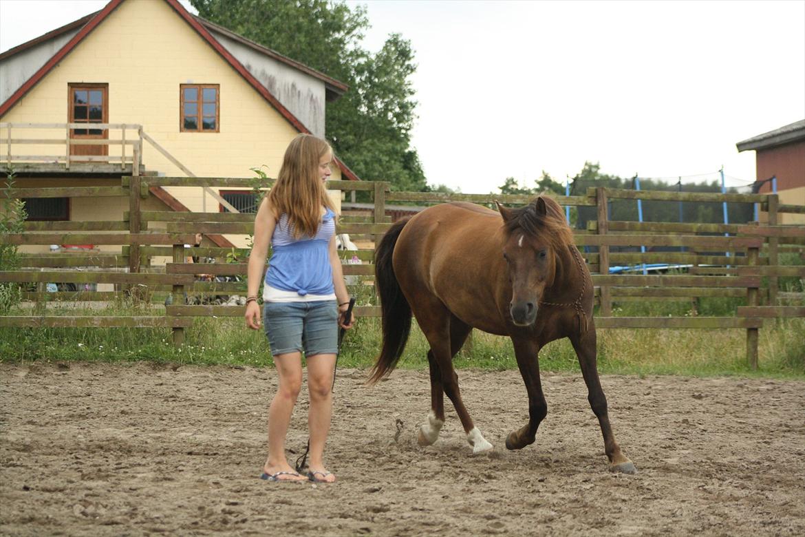 Pyt i Paradis  billede 35