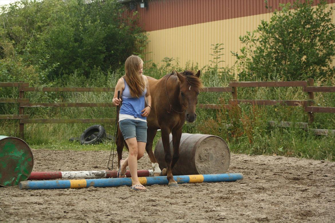 Pyt i Paradis  billede 37