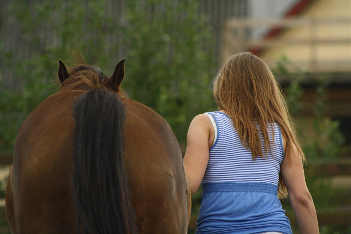 Pyt i Paradis  billede 38