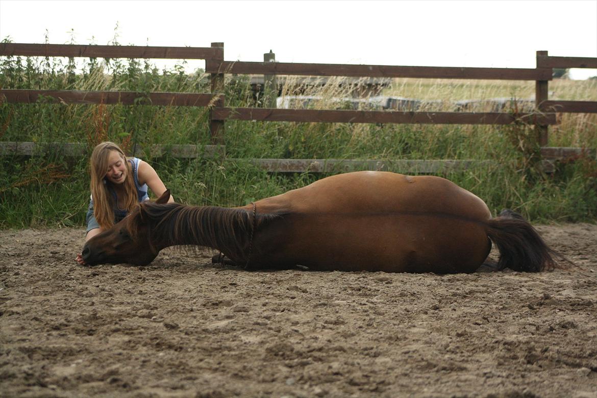 Pyt i Paradis  billede 39