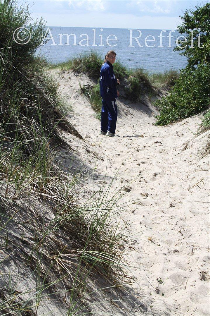 Kramnitze 26-07-11 | © Amalie Reffelt | billede 1