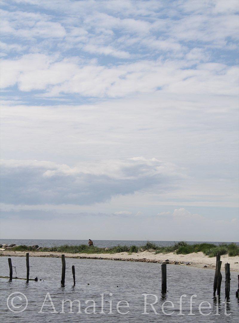 Kramnitze 26-07-11 | © Amalie Reffelt | billede 17