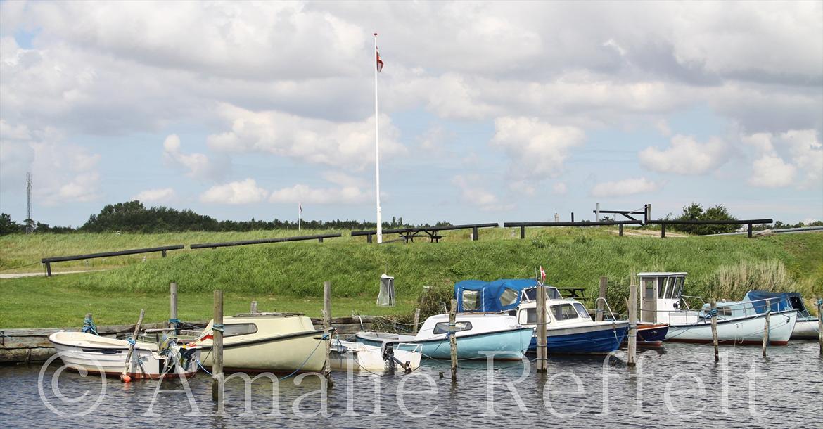 Kramnitze 26-07-11 | © Amalie Reffelt | billede 18