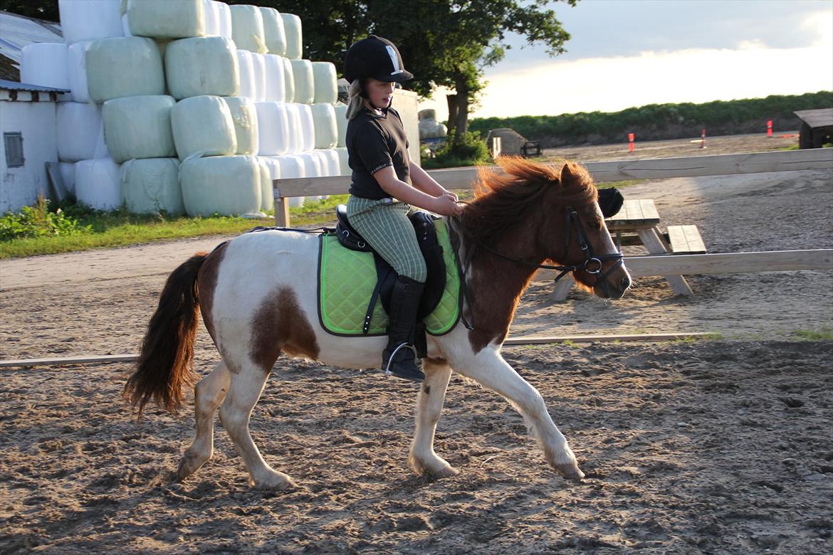 Sissel hauge - Thea & Prins! billede 1