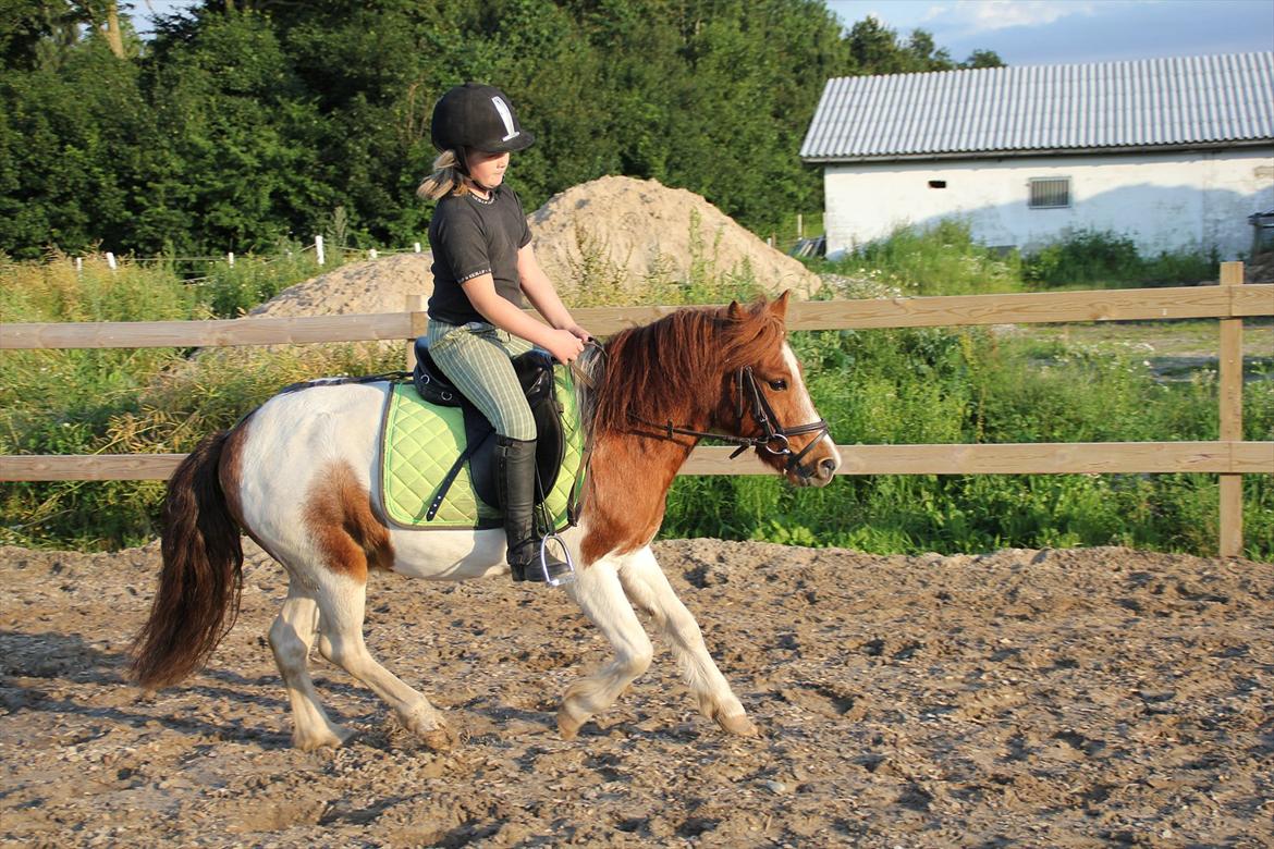 Sissel hauge - Thea & Prins! billede 2