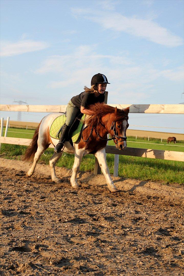 Sissel hauge - Thea & Prins! billede 3