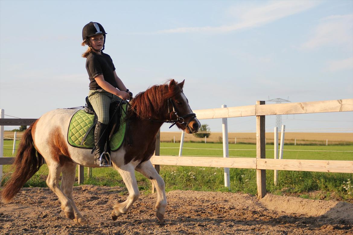 Sissel hauge - Thea & Prins! billede 4