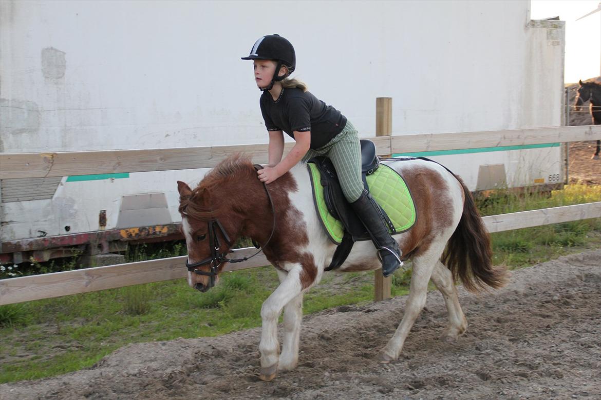 Sissel hauge - Thea & Prins! billede 5