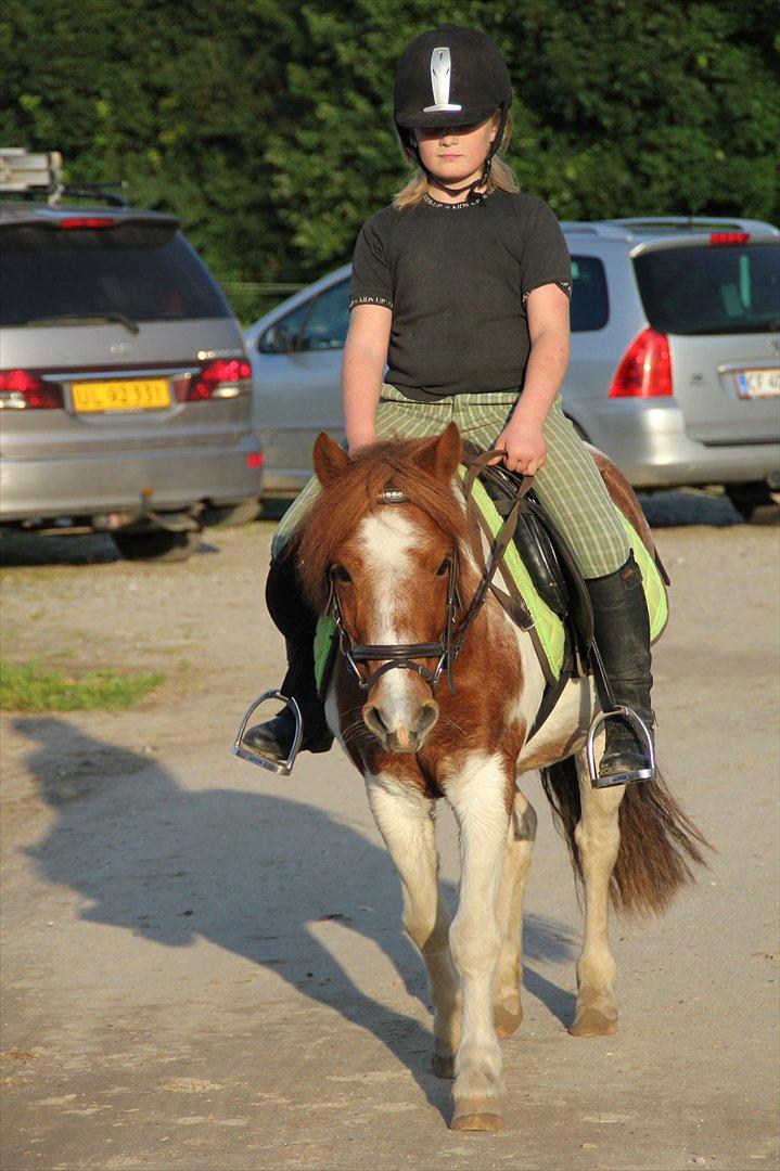 Sissel hauge - Thea & Prins! billede 6