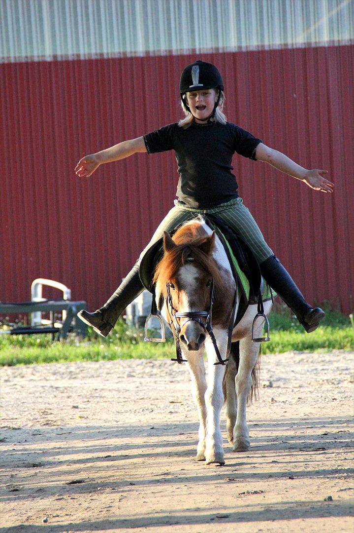 Sissel hauge - Thea & Prins! billede 7