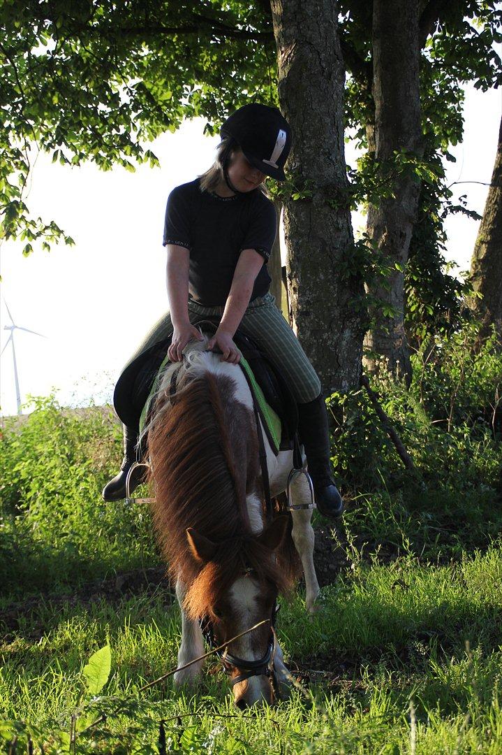 Sissel hauge - Thea & Prins! billede 8