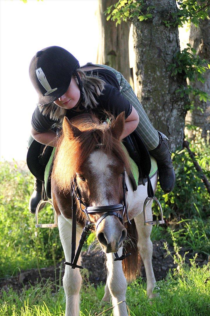 Sissel hauge - Thea & Prins! billede 9