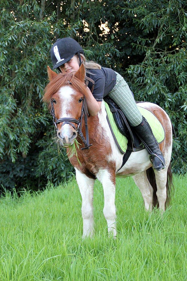 Sissel hauge - Thea & Prins! billede 10