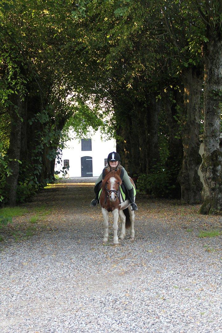 Sissel hauge - Thea & Prins! billede 11