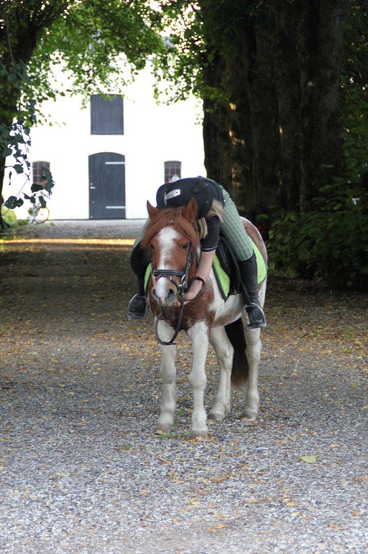 Sissel hauge - Thea & Prins! billede 12