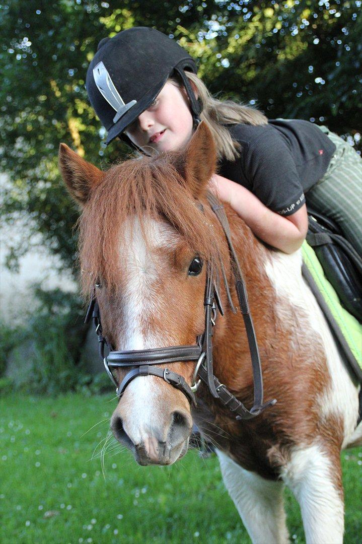 Sissel hauge - Thea & Prins! billede 13