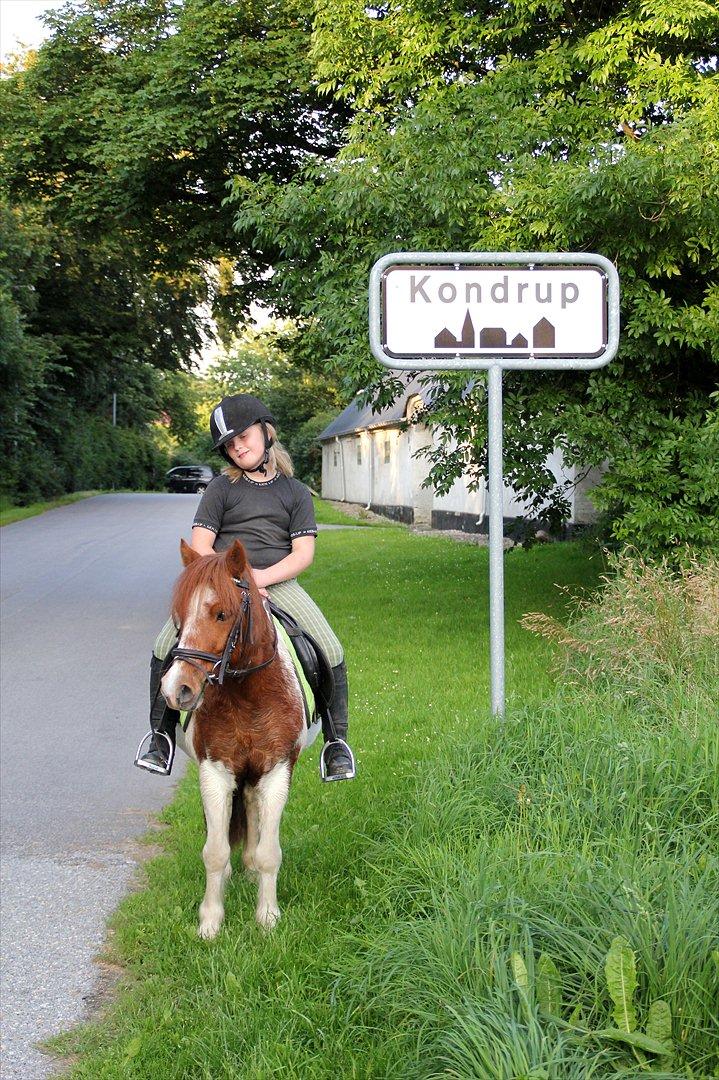 Sissel hauge - Thea & Prins! billede 14