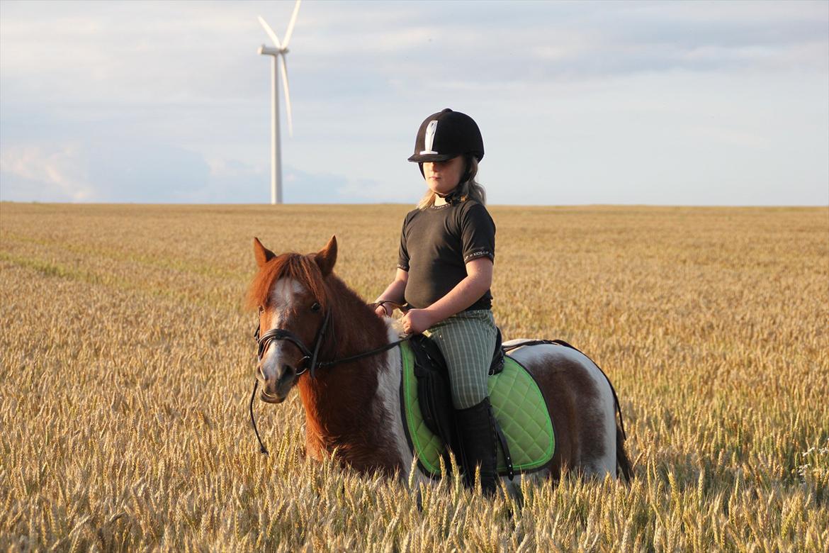 Sissel hauge - Thea & Prins! billede 16