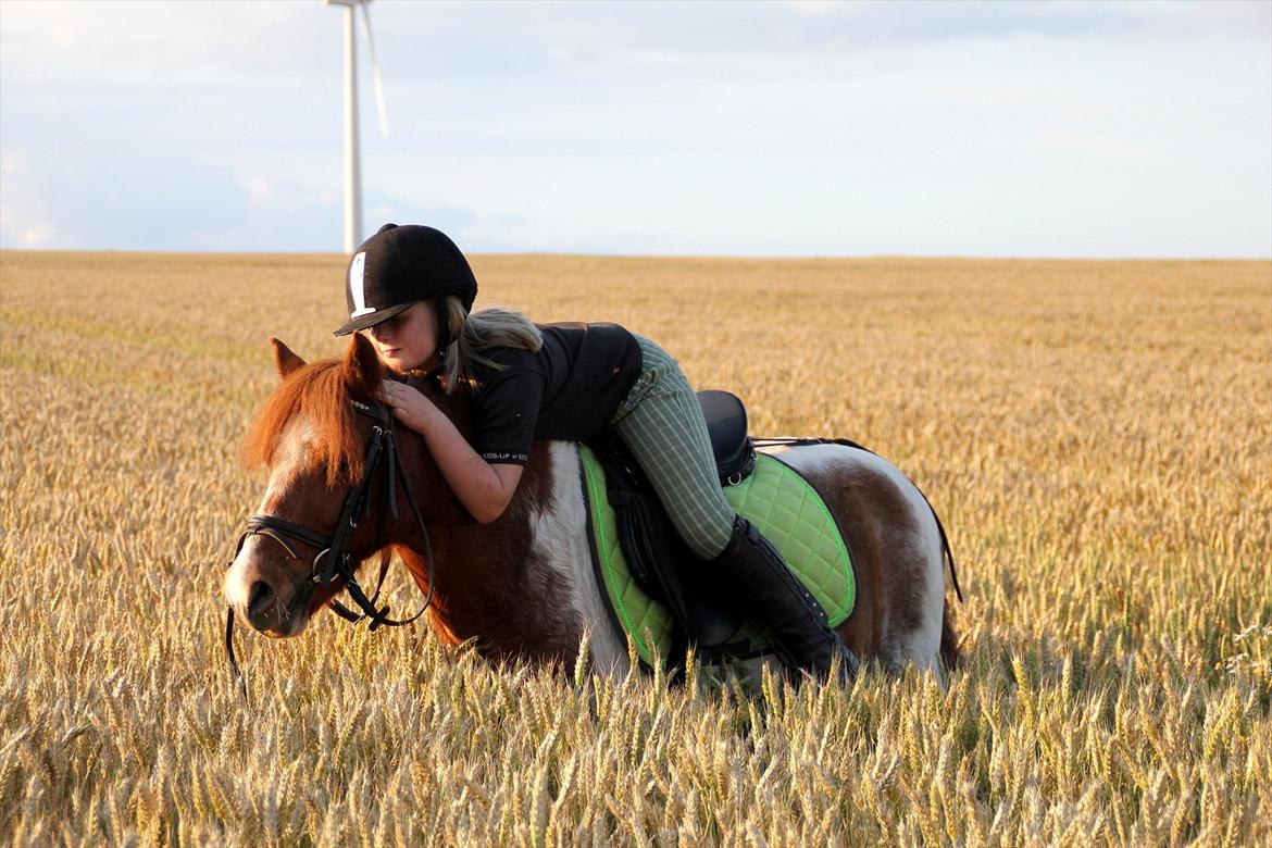 Sissel hauge - Thea & Prins! billede 17