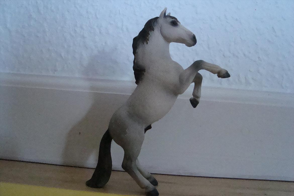 Schleich heste - Race- Hvis mustang-hingst der stejler billede 2