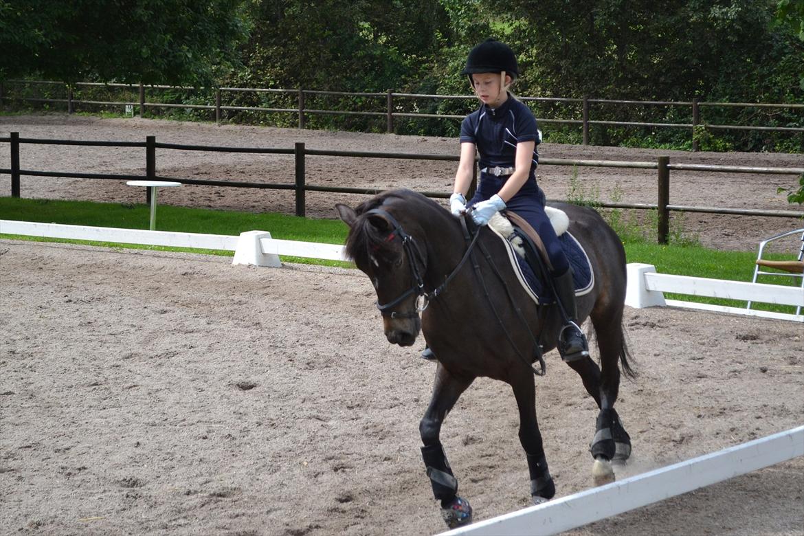 © Celina B. - Ride og hygge billeder af dagen på HVL rideklub ;) billede 1