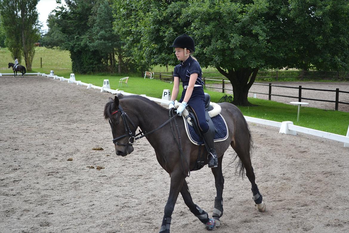 © Celina B. - Ride og hygge billeder af dagen på HVL rideklub ;) billede 2