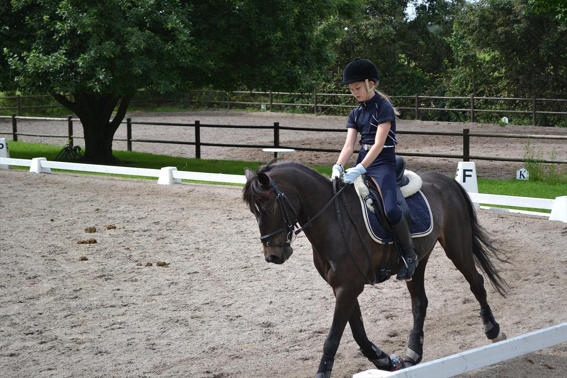 © Celina B. - Ride og hygge billeder af dagen på HVL rideklub ;) billede 3