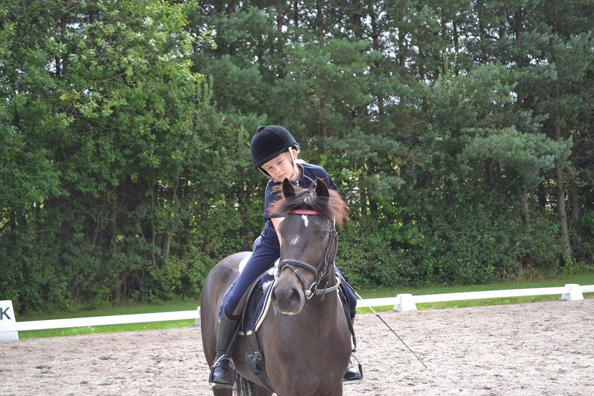 © Celina B. - Ride og hygge billeder af dagen på HVL rideklub ;) billede 4