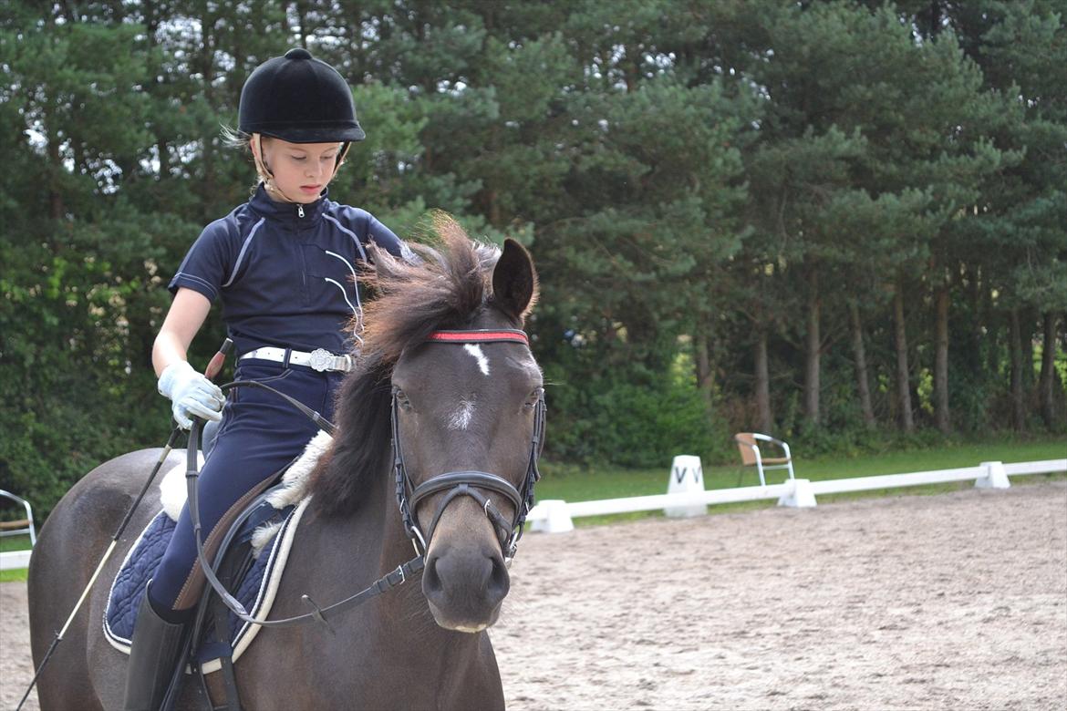 © Celina B. - Ride og hygge billeder af dagen på HVL rideklub ;) billede 5