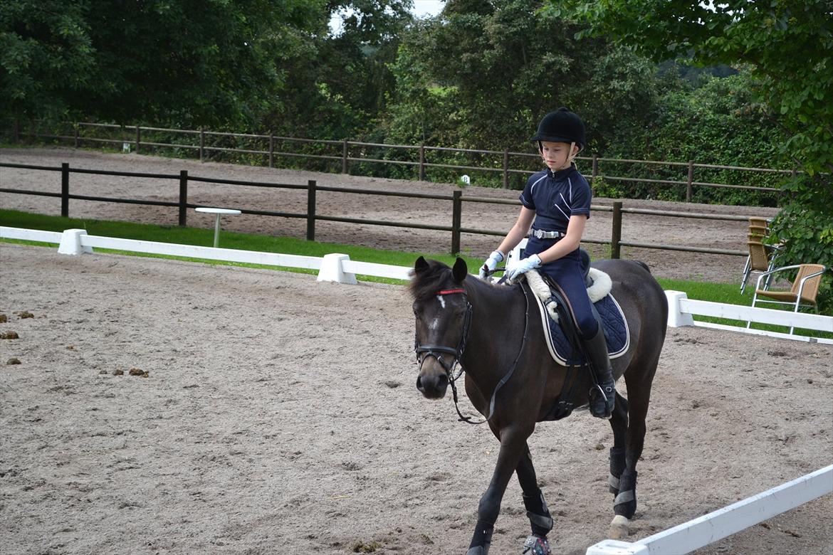 © Celina B. - Ride og hygge billeder af dagen på HVL rideklub ;) billede 6