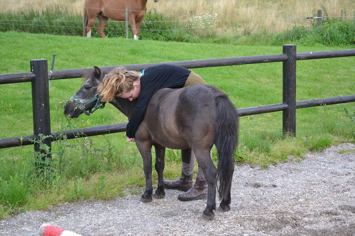 © Celina B. - Ride og hygge billeder af dagen på HVL rideklub ;) billede 10