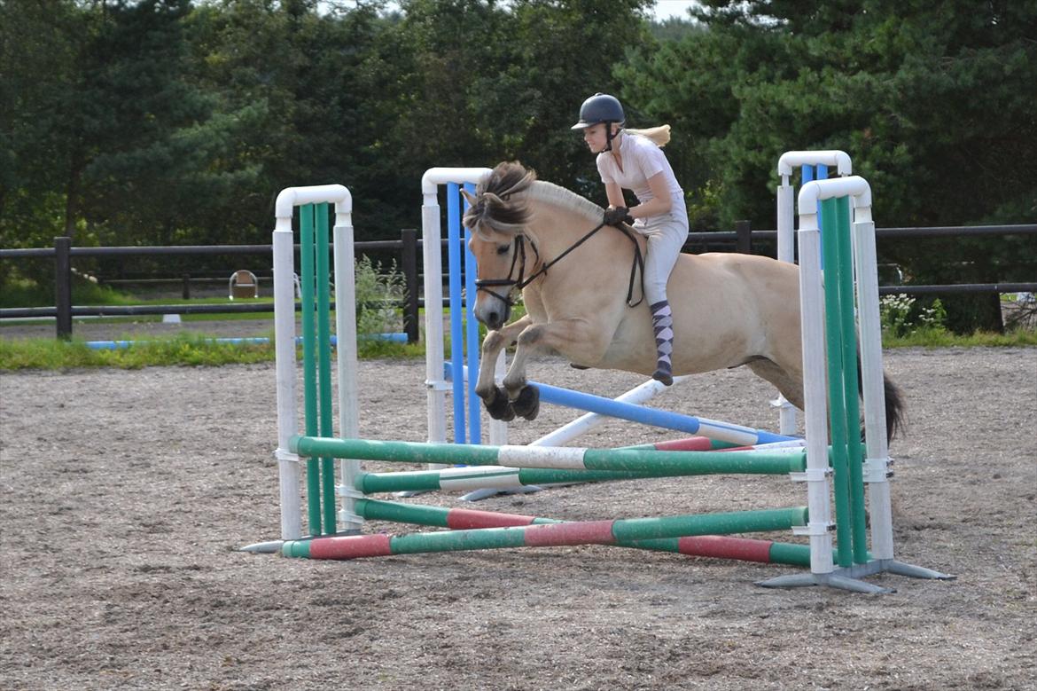 © Celina B. - Ride og hygge billeder af dagen på HVL rideklub ;) billede 14