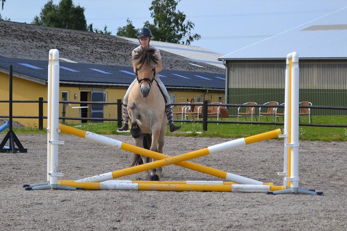 © Celina B. - Ride og hygge billeder af dagen på HVL rideklub ;) billede 15