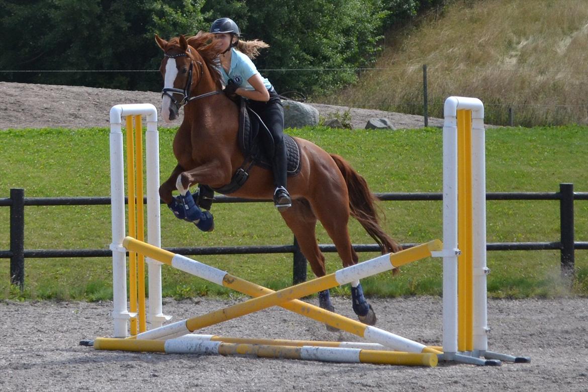 © Celina B. - Ride og hygge billeder af dagen på HVL rideklub ;) billede 18