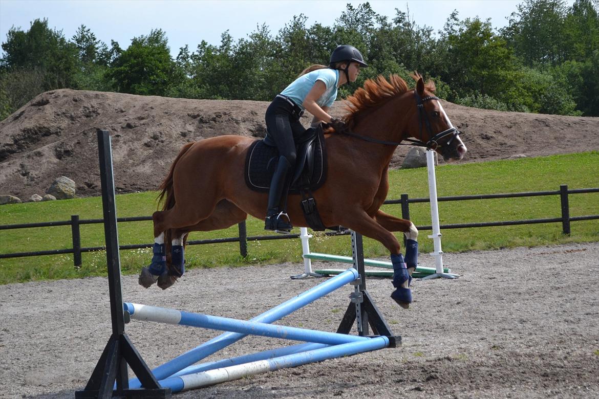 © Celina B. - Ride og hygge billeder af dagen på HVL rideklub ;) billede 19