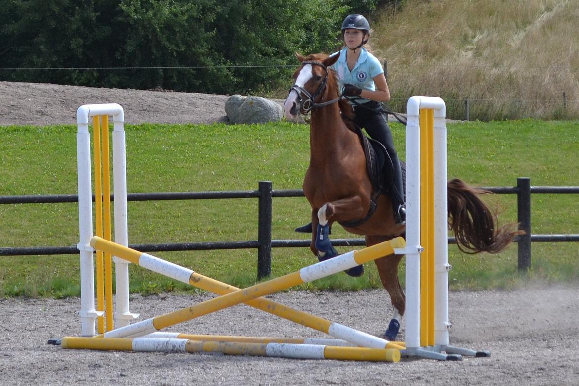 © Celina B. - Ride og hygge billeder af dagen på HVL rideklub ;) billede 21