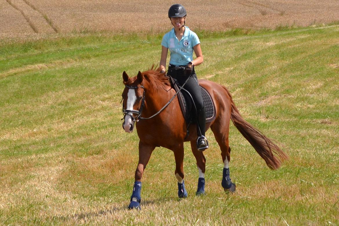 © Celina B. - Ride og hygge billeder af dagen på HVL rideklub ;) billede 22