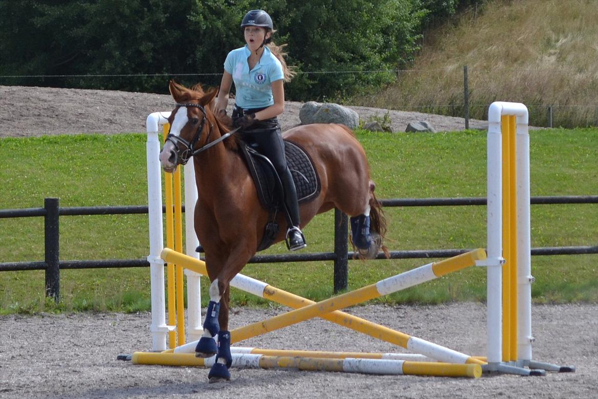 © Celina B. - Ride og hygge billeder af dagen på HVL rideklub ;) billede 23