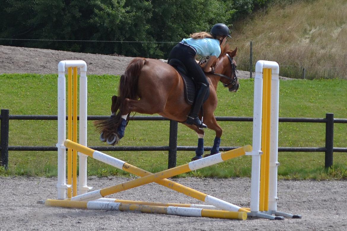 © Celina B. - Ride og hygge billeder af dagen på HVL rideklub ;) billede 24