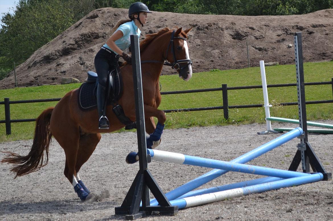 © Celina B. - Ride og hygge billeder af dagen på HVL rideklub ;) billede 25