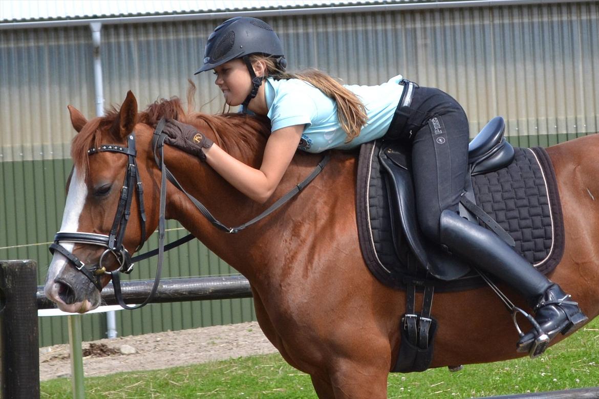 © Celina B. - Ride og hygge billeder af dagen på HVL rideklub ;) billede 26