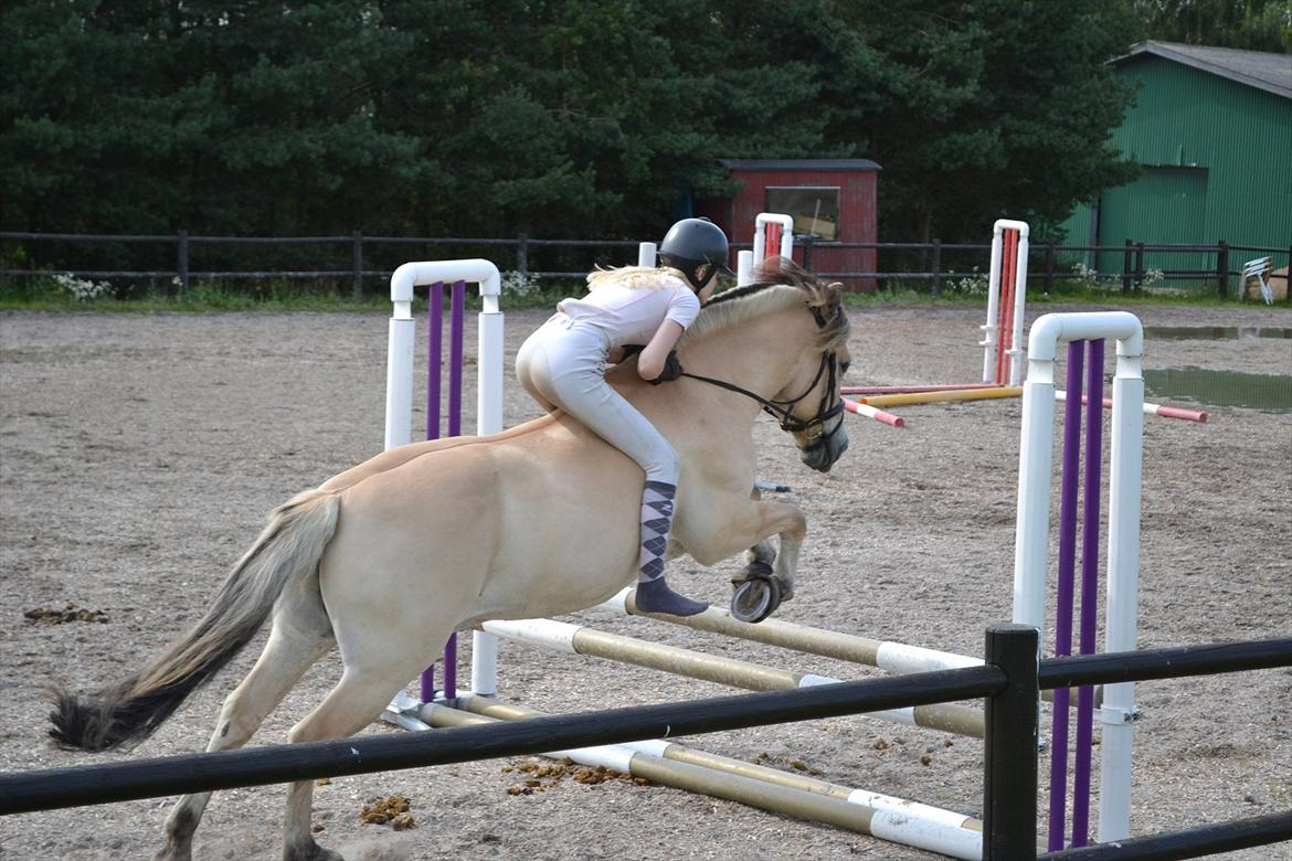 © Celina B. - Ride og hygge billeder af dagen på HVL rideklub ;) billede 28