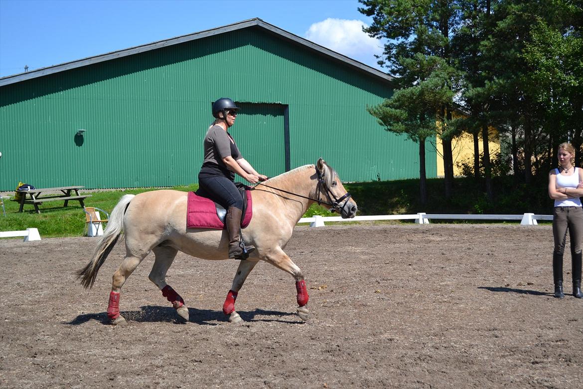 © Celina B. - Ride og hygge billeder af dagen på HVL rideklub ;) billede 32