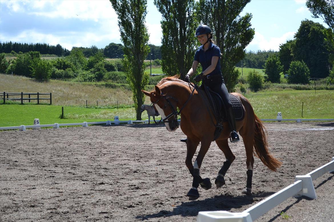 © Celina B. - Ride og hygge billeder af dagen på HVL rideklub ;) billede 33
