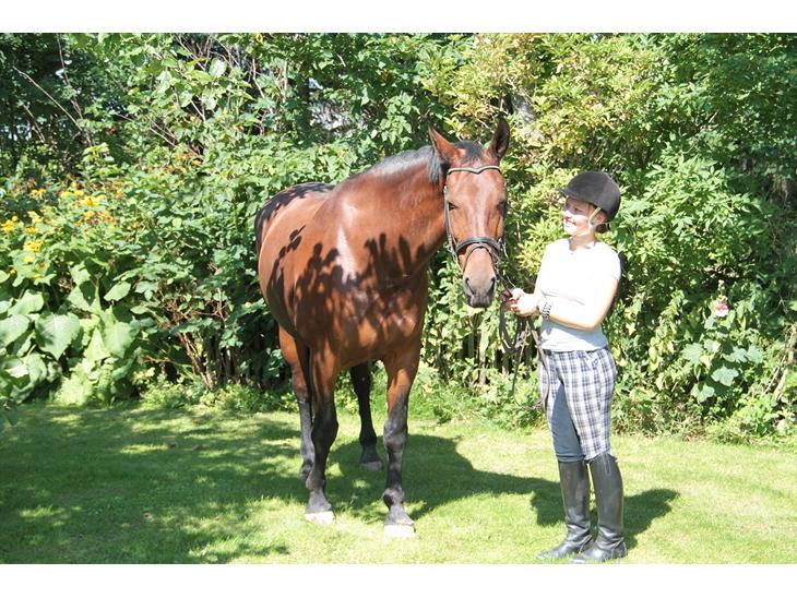 {{currentPhoto.altText}} billede {{currentPhoto.number}}